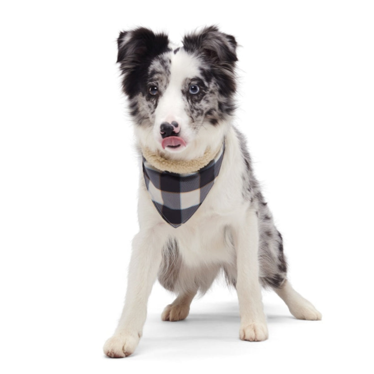 Plaid To The Bone Bandana