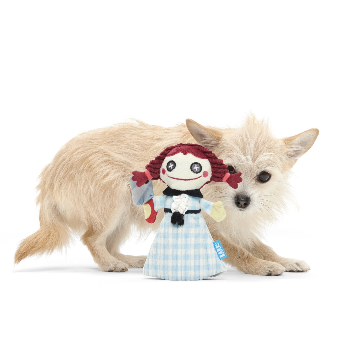 Tragedy Ann Plush Tug Dog Toy
