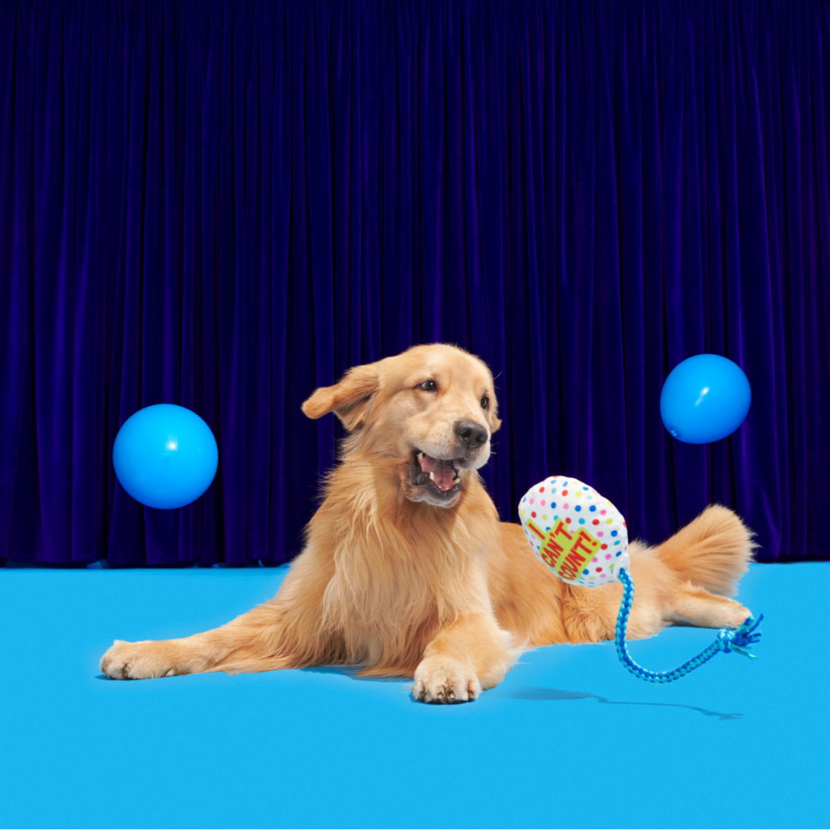 Yappy Birthday Balloon Plush Tug Dog Toy