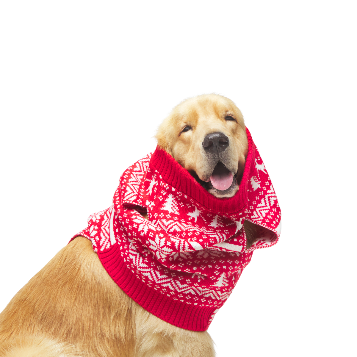 BOX-GWP_211121_REINDEER-SWEATER-L_JAMES_0198_cropped#Size_L