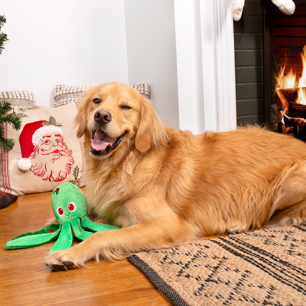 Holly Jolly Ollie Plush Tug Dog Toy