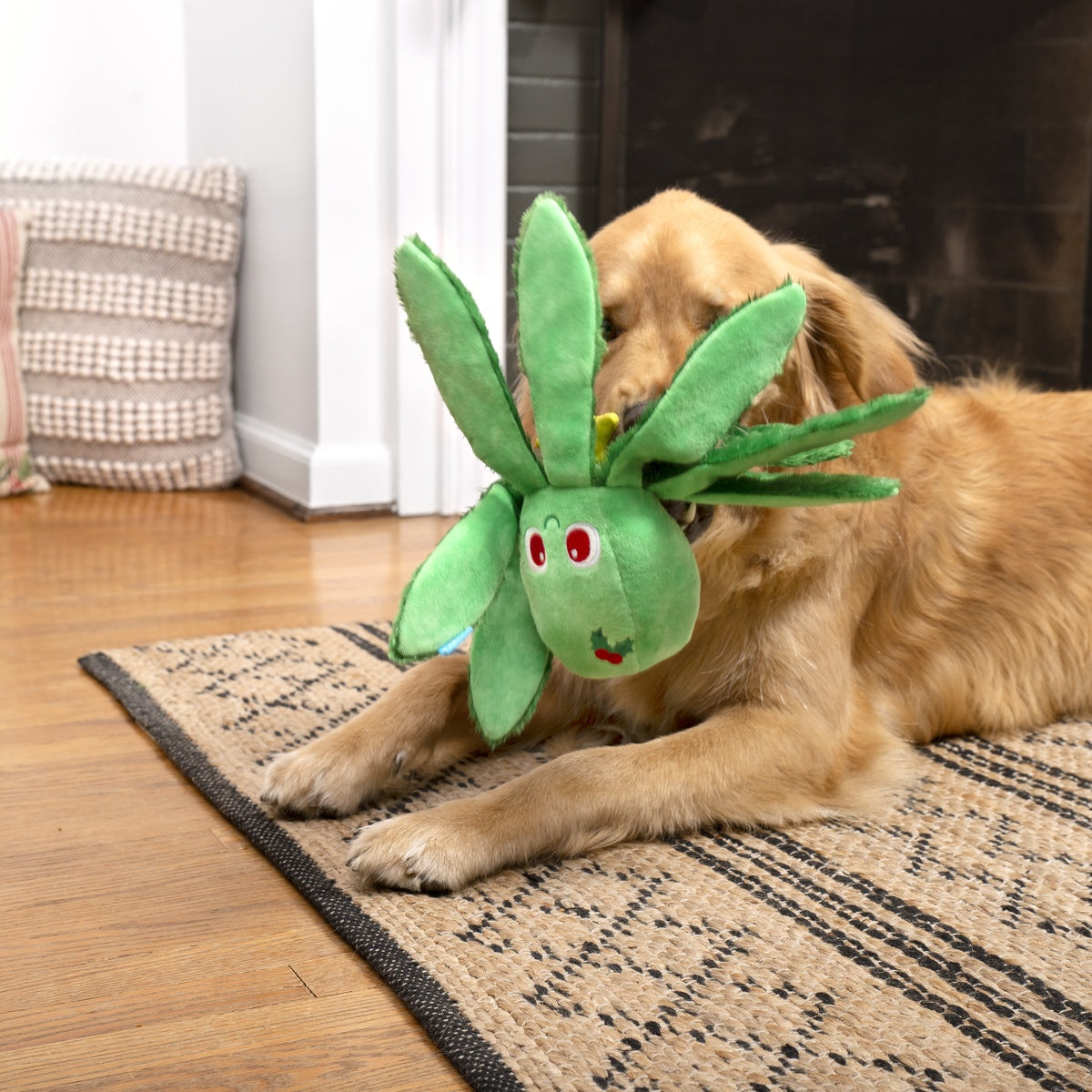 Holly Jolly Ollie Plush Tug Dog Toy – BARK