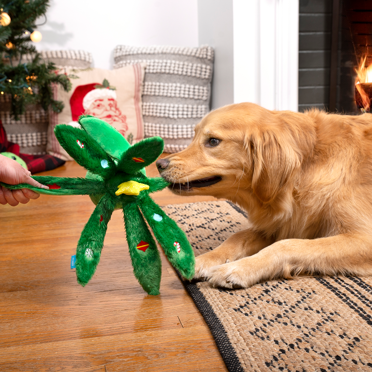Holly Jolly Ollie Plush Tug Dog Toy