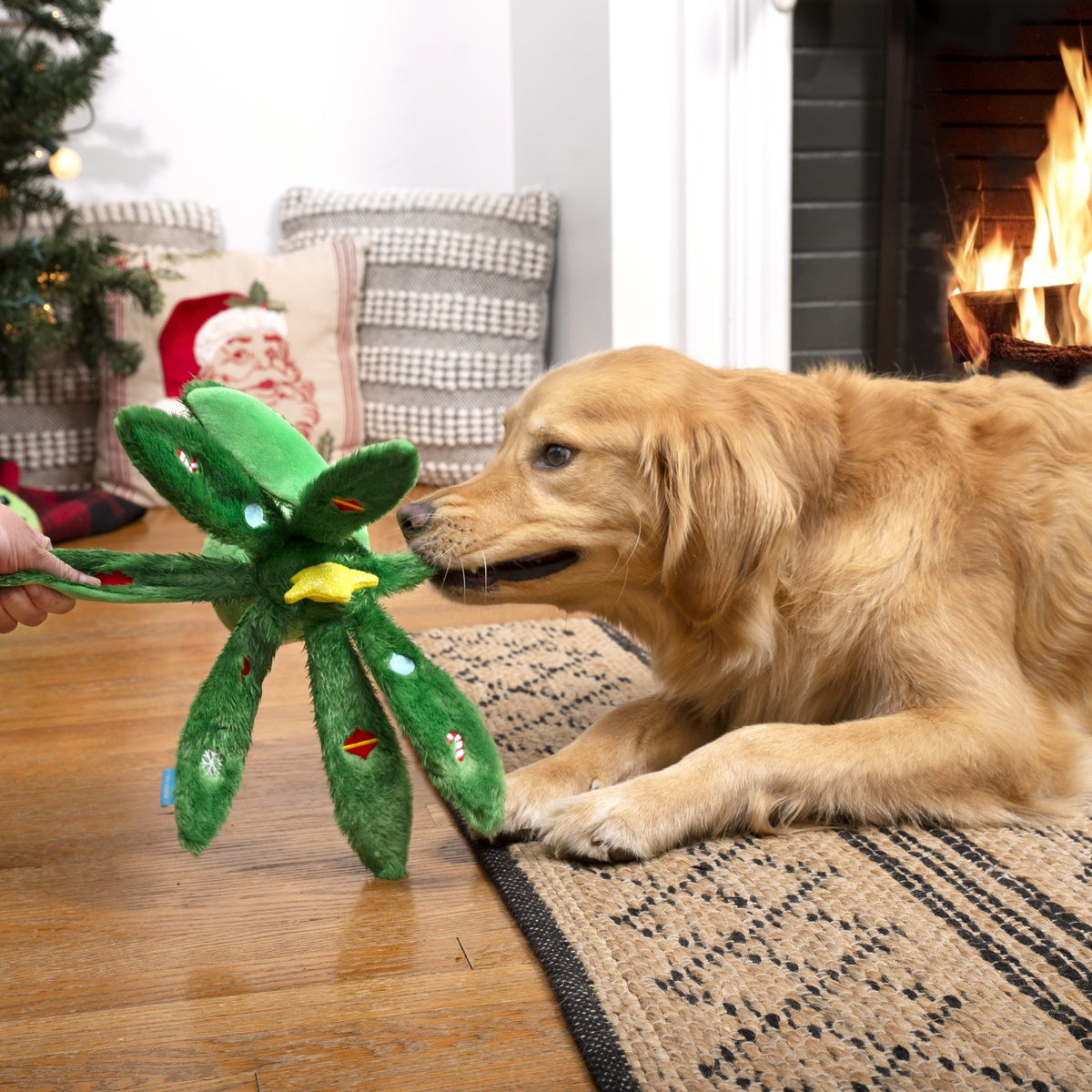 BOX-GWP_211195_HOLLY-JOLLY-OLLIE_M-L_FRANKLIN_0478_cropped#Size_M/L