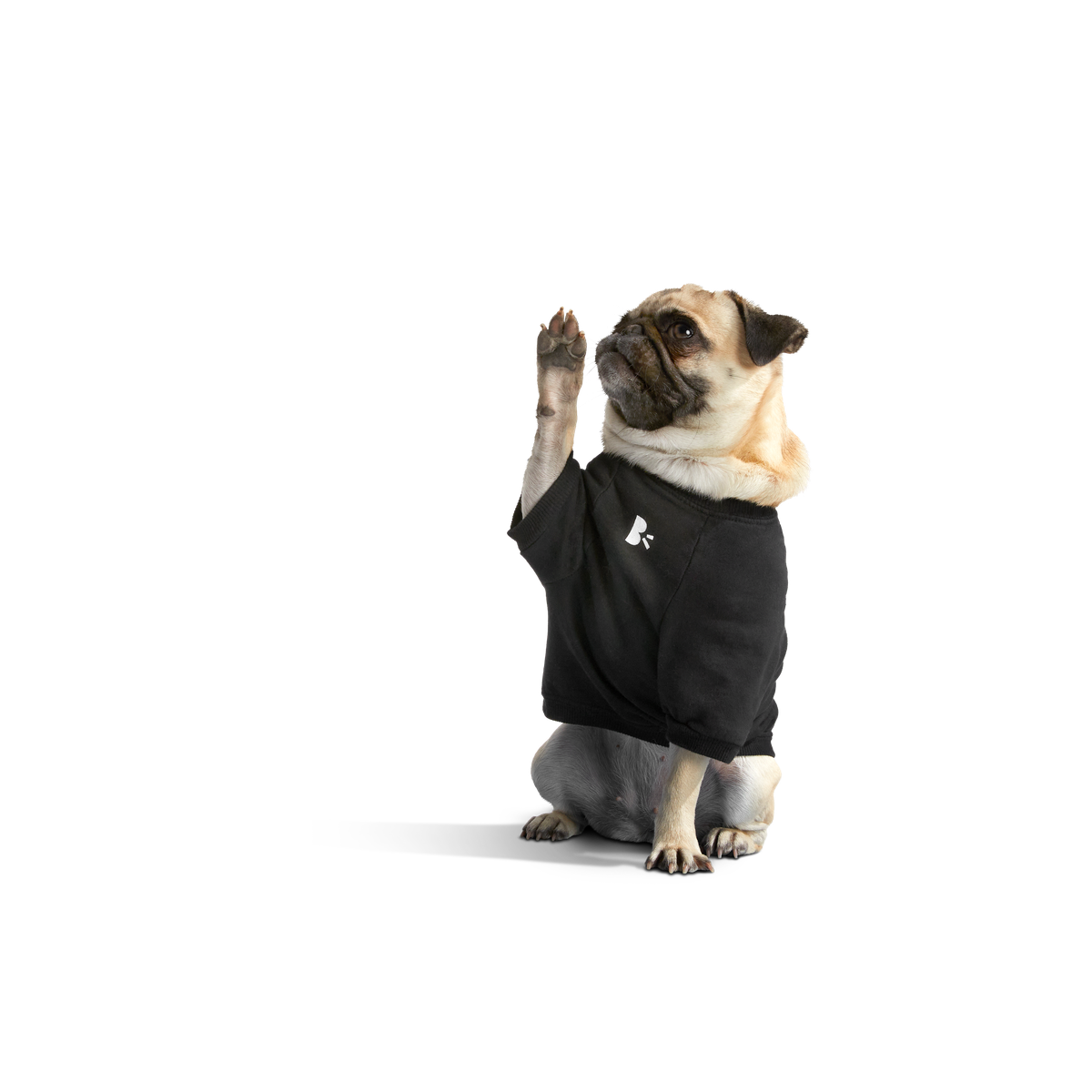 BOX-SC-GWP-ATB_212687_ANTI-SQUIRREL-HOODIE-S_1780_cropped#Size_S