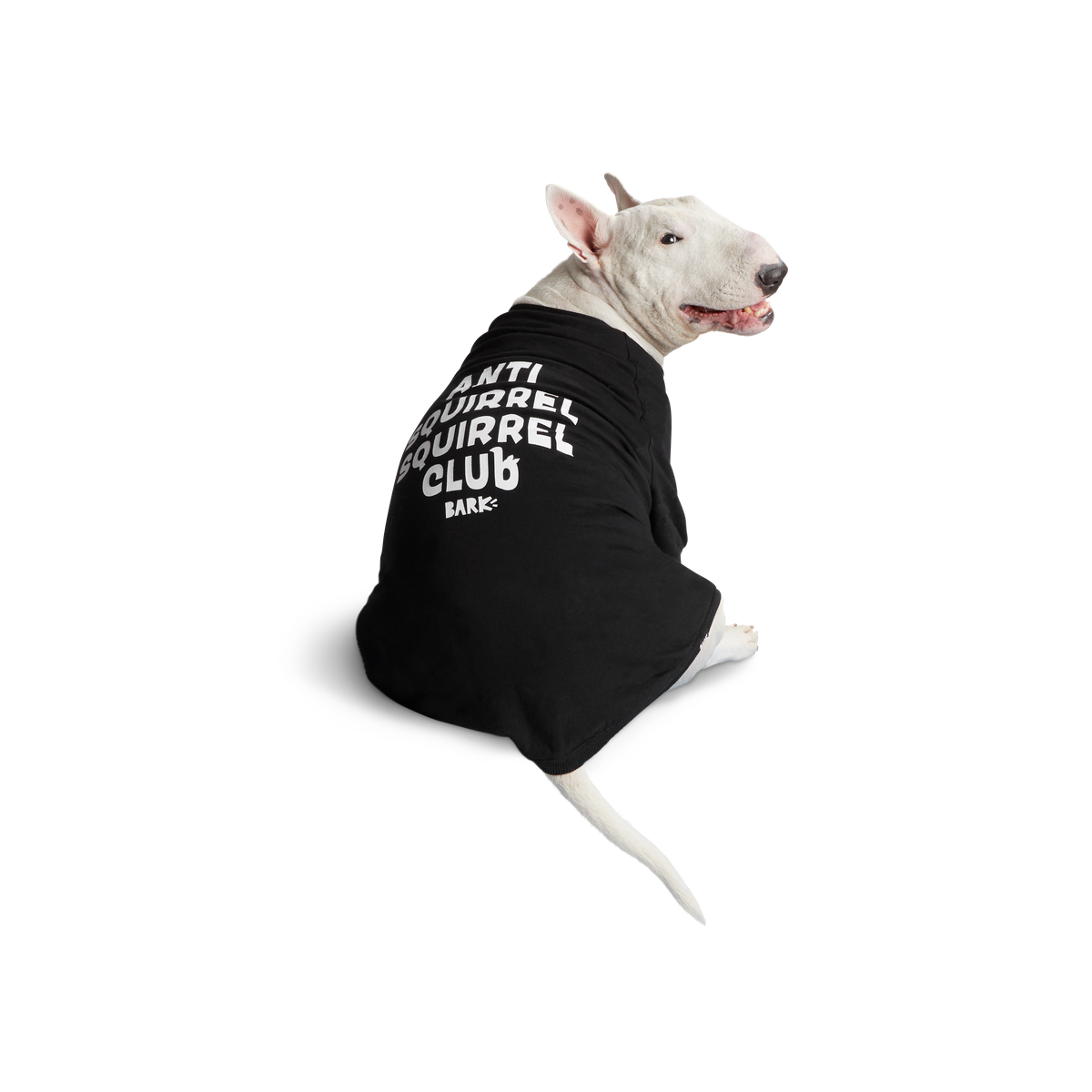 BOX-SC-GWP-ATB_212689_ANTI-SQUIRREL-HOODIE-L_0516_cropped#Size_L