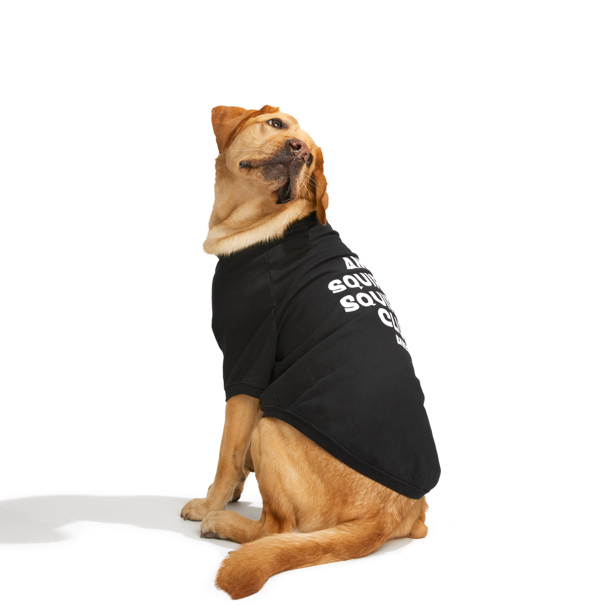 BOX-SC-GWP-ATB_212689_ANTI-SQUIRREL-HOODIE-L_1541_cropped#Size_L