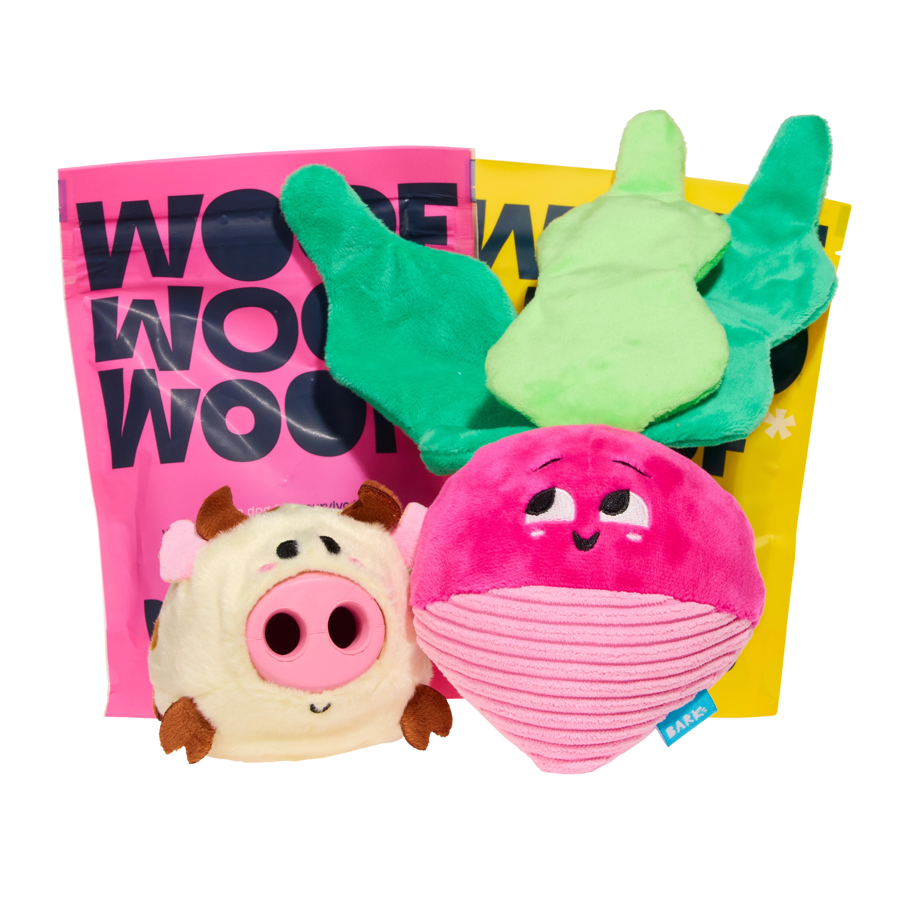 BARK 12 Month Subscription - FREE Extra Treats