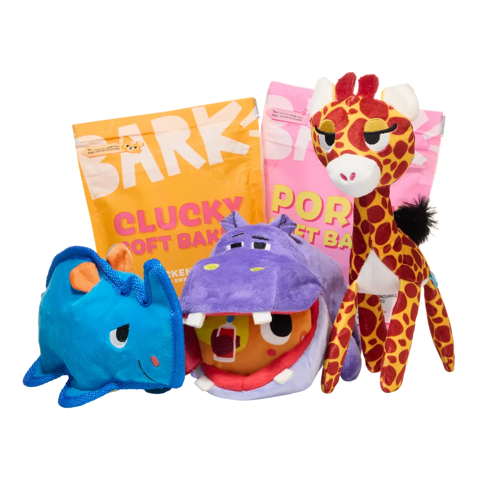 BarkBox 6 Month Subscription - FREE Extra Toys