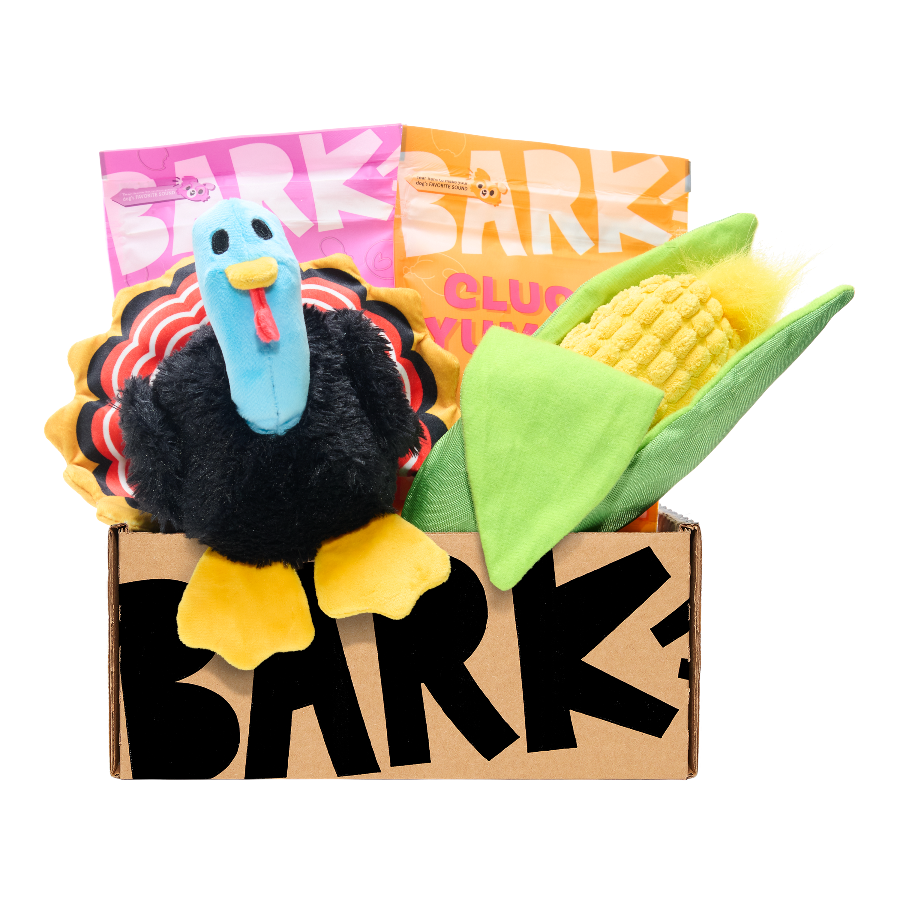 barkbox with turkey and corn dog toy