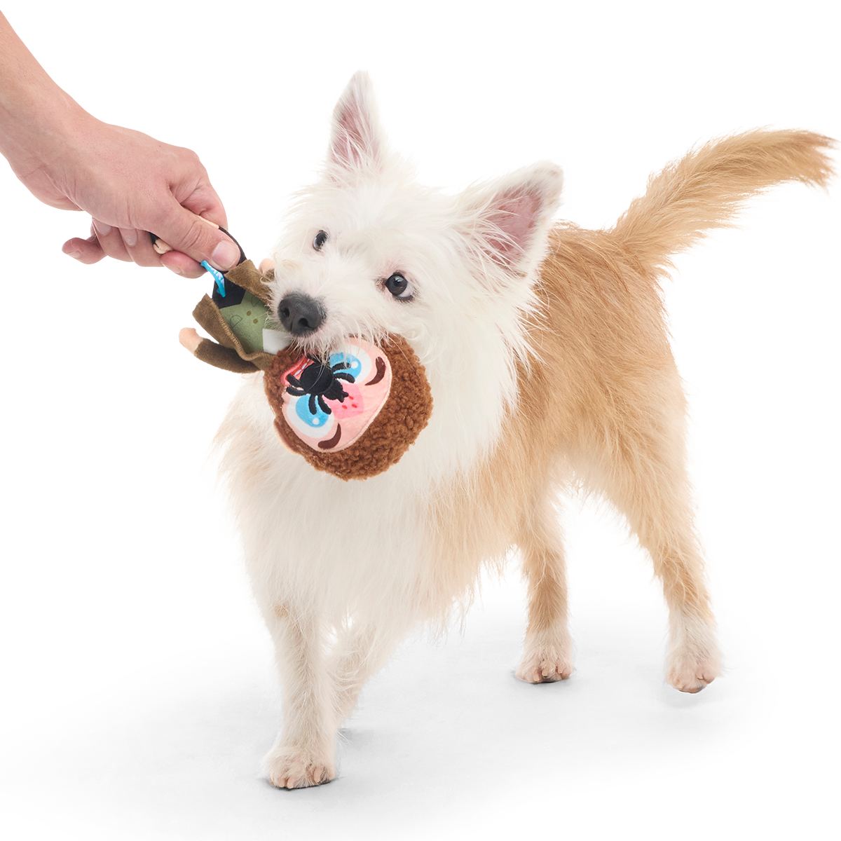 Marv Plush Tug Dog Toy