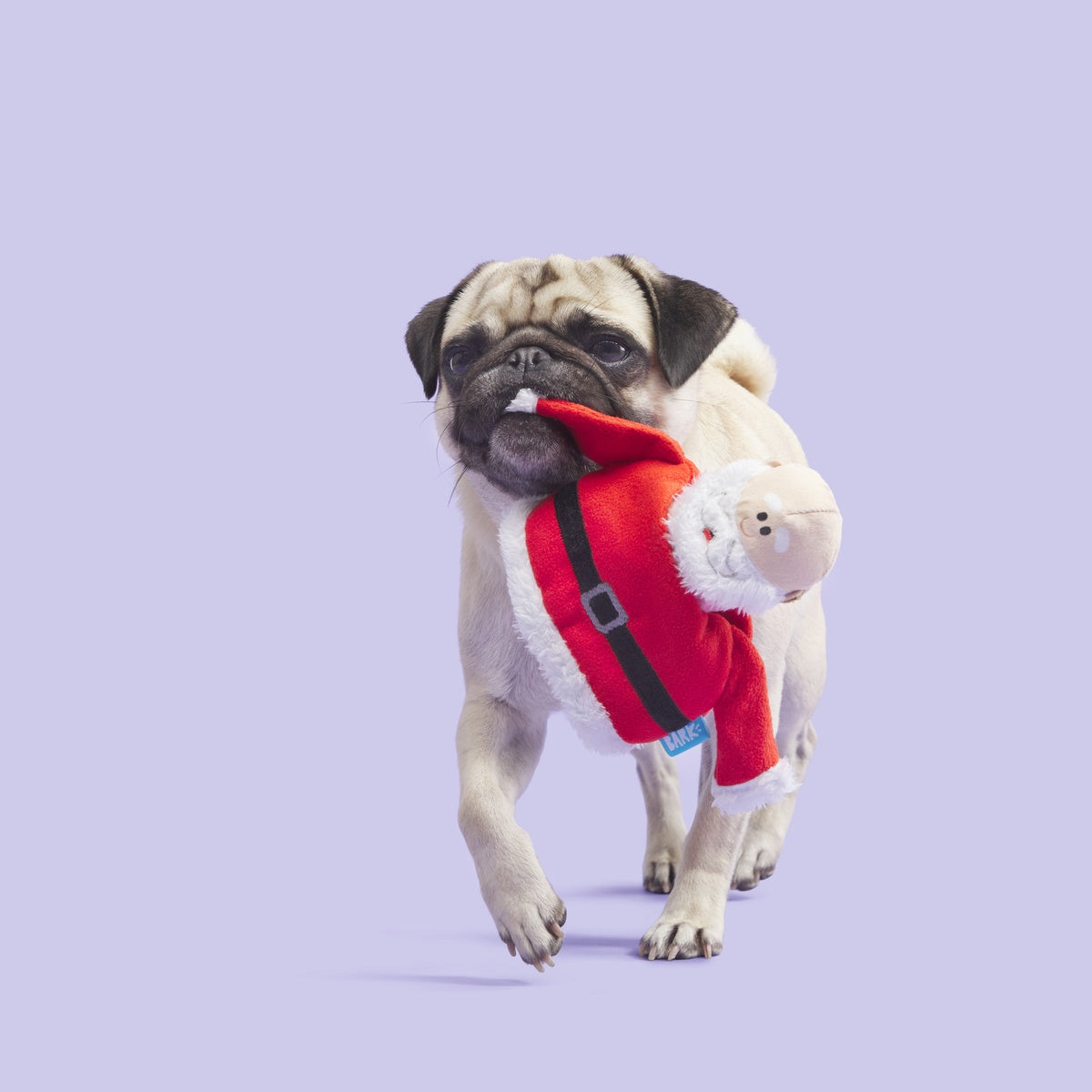 Ol' Kris Kringle™ Plush Multi-Part Dog Toy – BARK