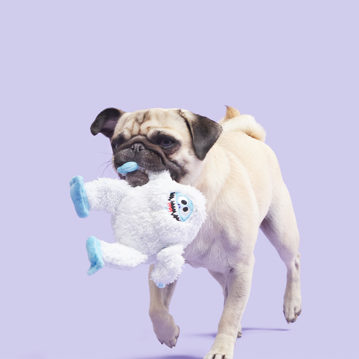 Bumble™ Plush Tug Dog Toy