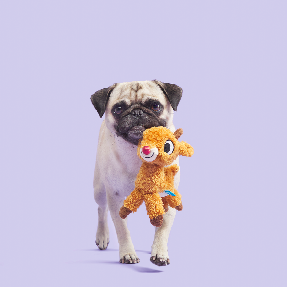 Runnin' Rudolph® Plush Tug Dog Toy