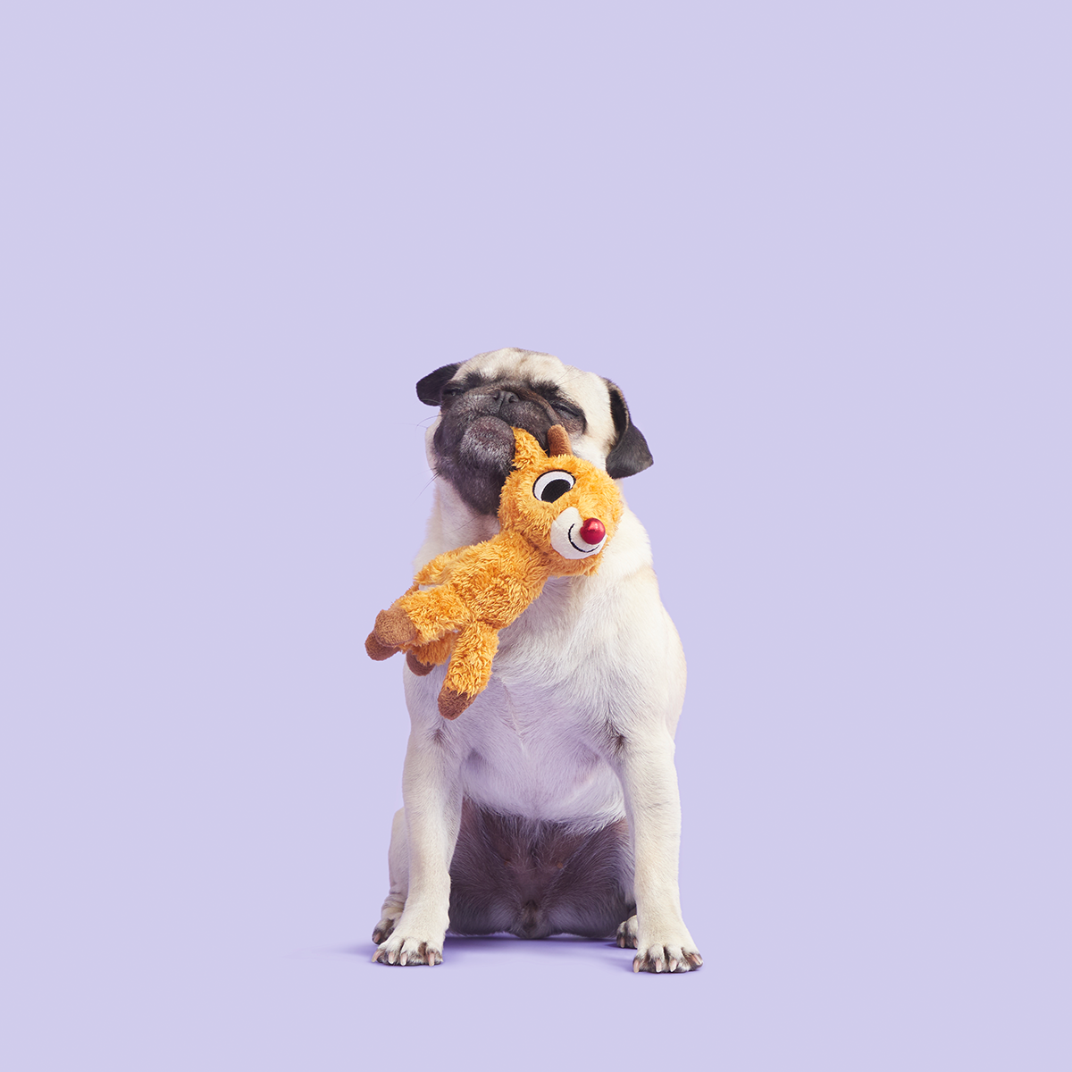 Runnin' Rudolph® Plush Tug Dog Toy