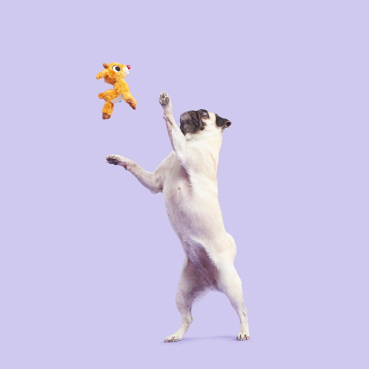 Runnin' Rudolph® Plush Tug Dog Toy