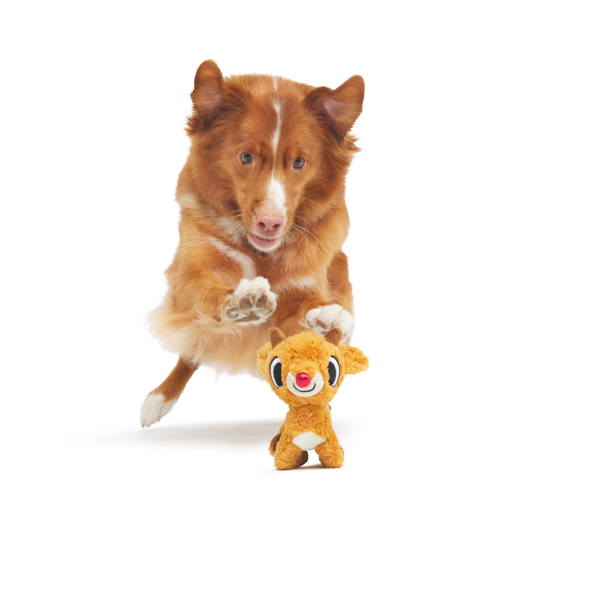 Rudolph the Red-Nosed Reindeer®