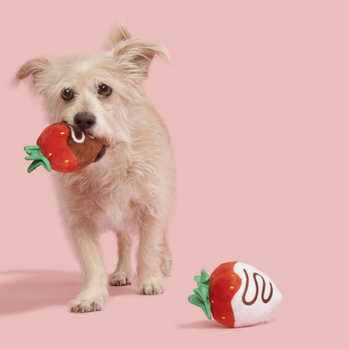 SEV PETS 犬用 ルーパー ピンク Mサイズ(35㎝) Chocolick Strawberries Plush Multi-Part Dog Toy – BARK