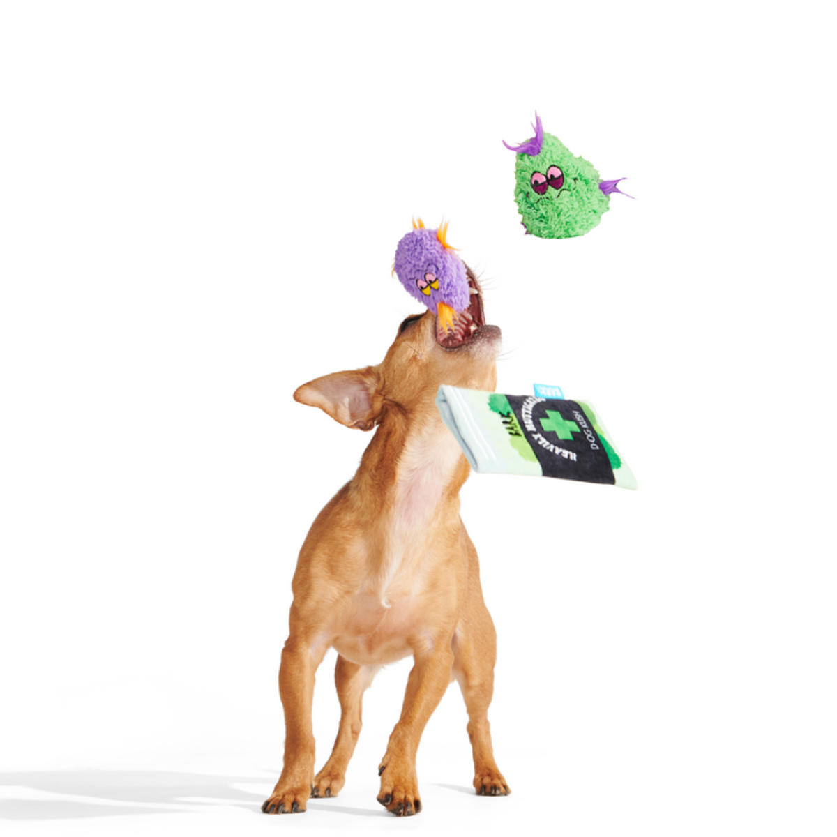 BOX_211943_D-OG-KUSH-NUGS-XS-S_1129-1200x800-9b9f185#Size_S