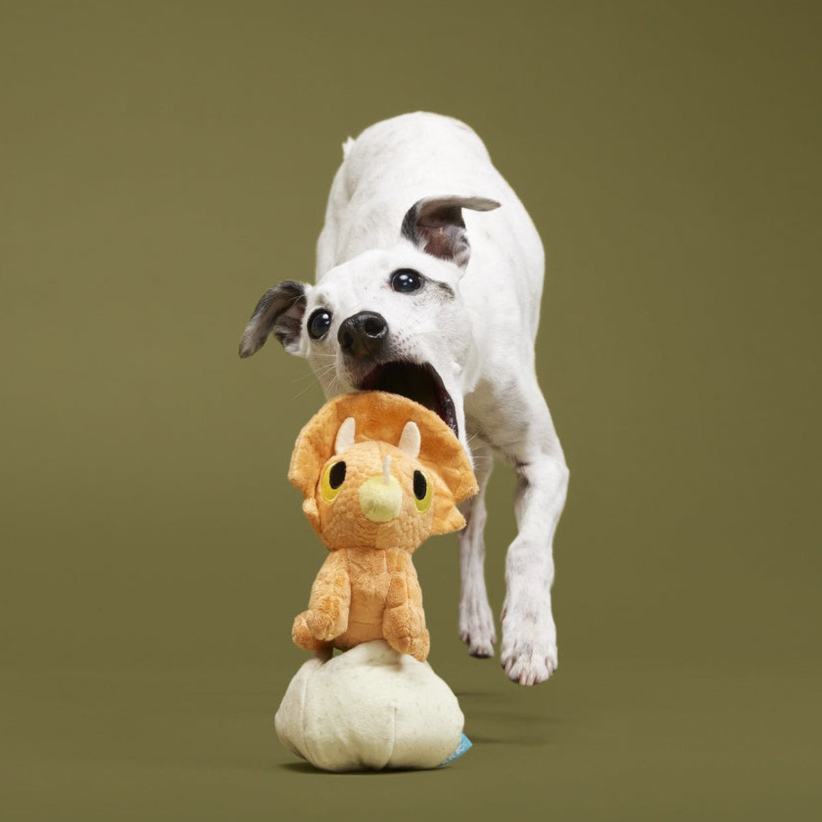 Baby Triceratops Plush Multi-Part + Enrichment Dog Toy – BARK