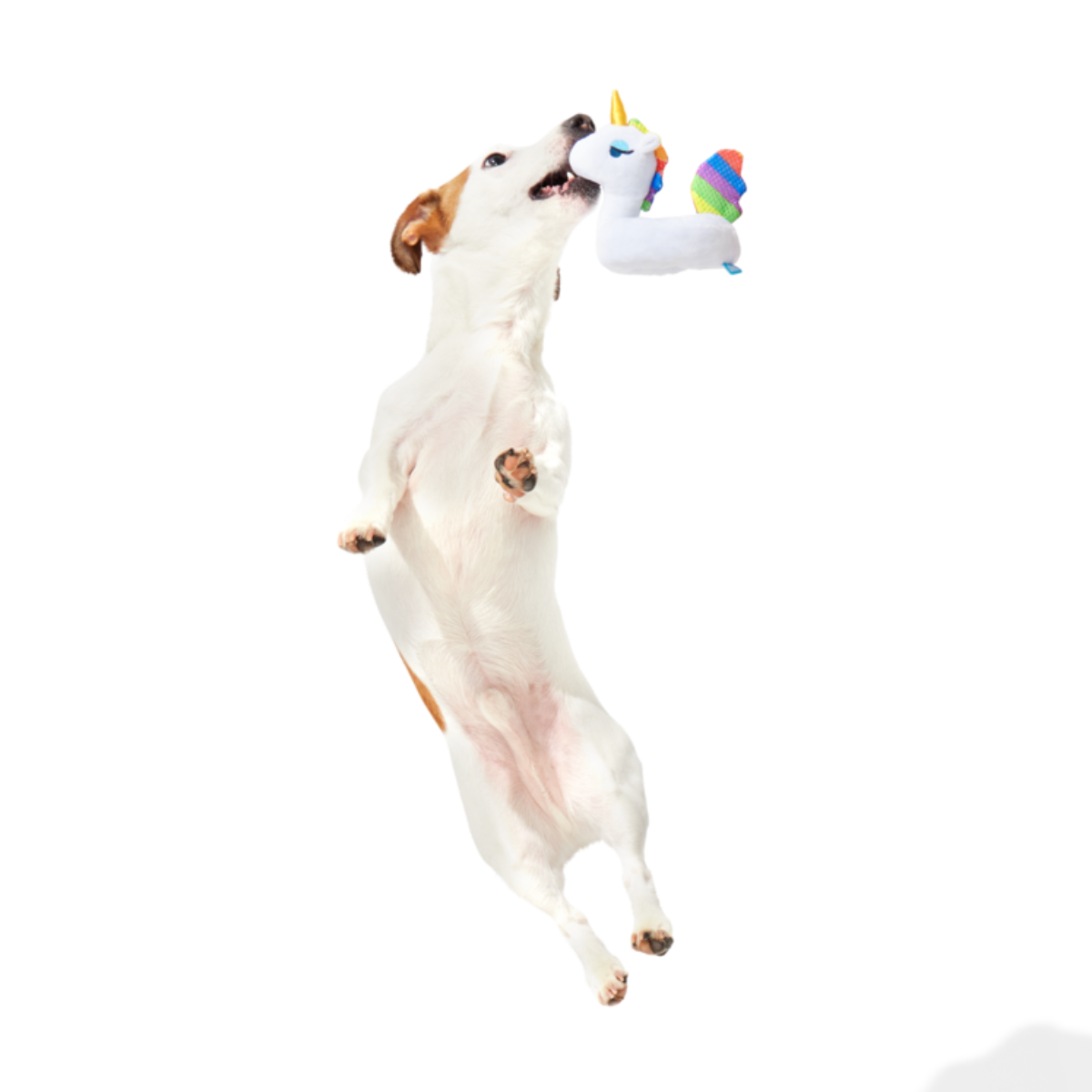 Tina the Tubular Unicorn Plush Tug Dog Toy