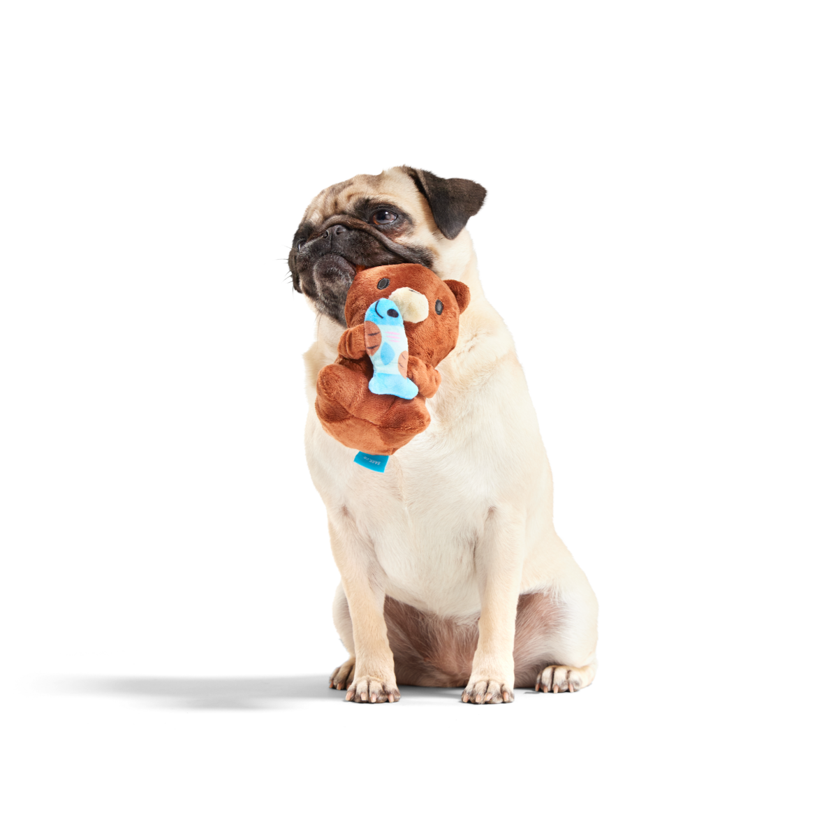 Izzy the Grizzly & Sal Plush Tug Dog Toy