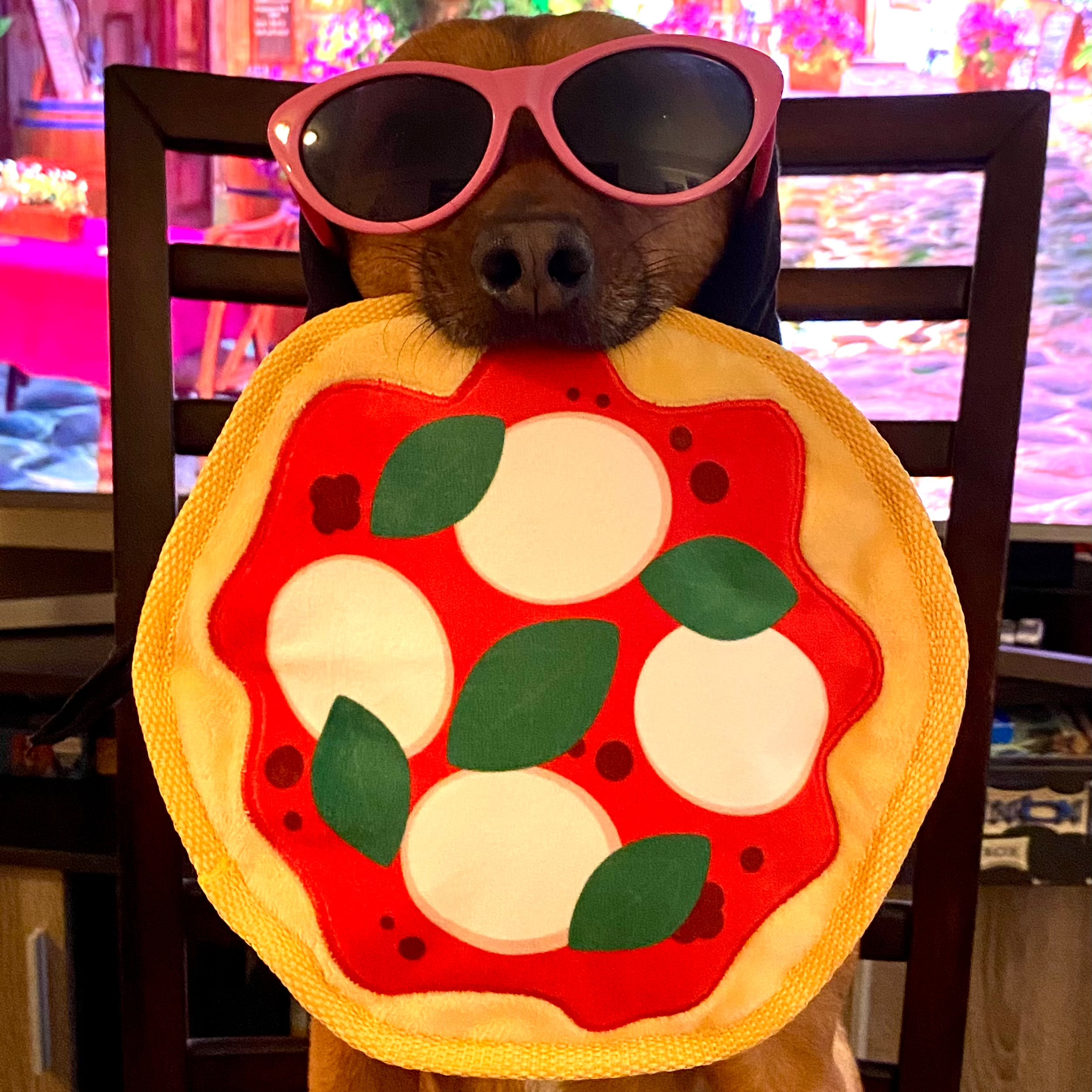 Muttzarella Pizza
