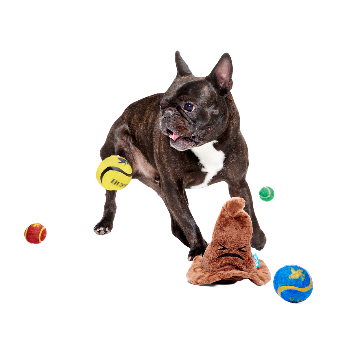 The Sorting Hat™ Plush 2-in-1 + Fetch Dog Toy