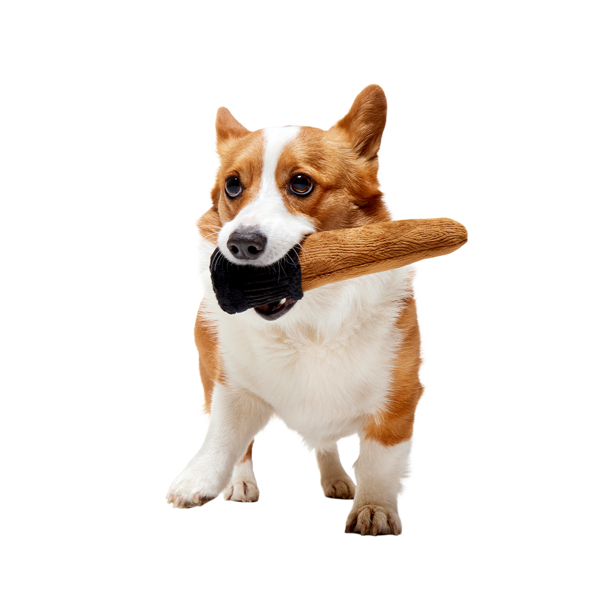 Spellbinding Wand™ Plush Tug Dog Toy