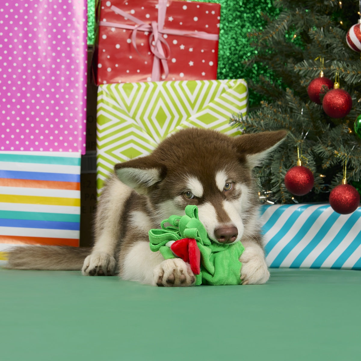 Sniffletoe Tug and Rope Plush Dog Toy