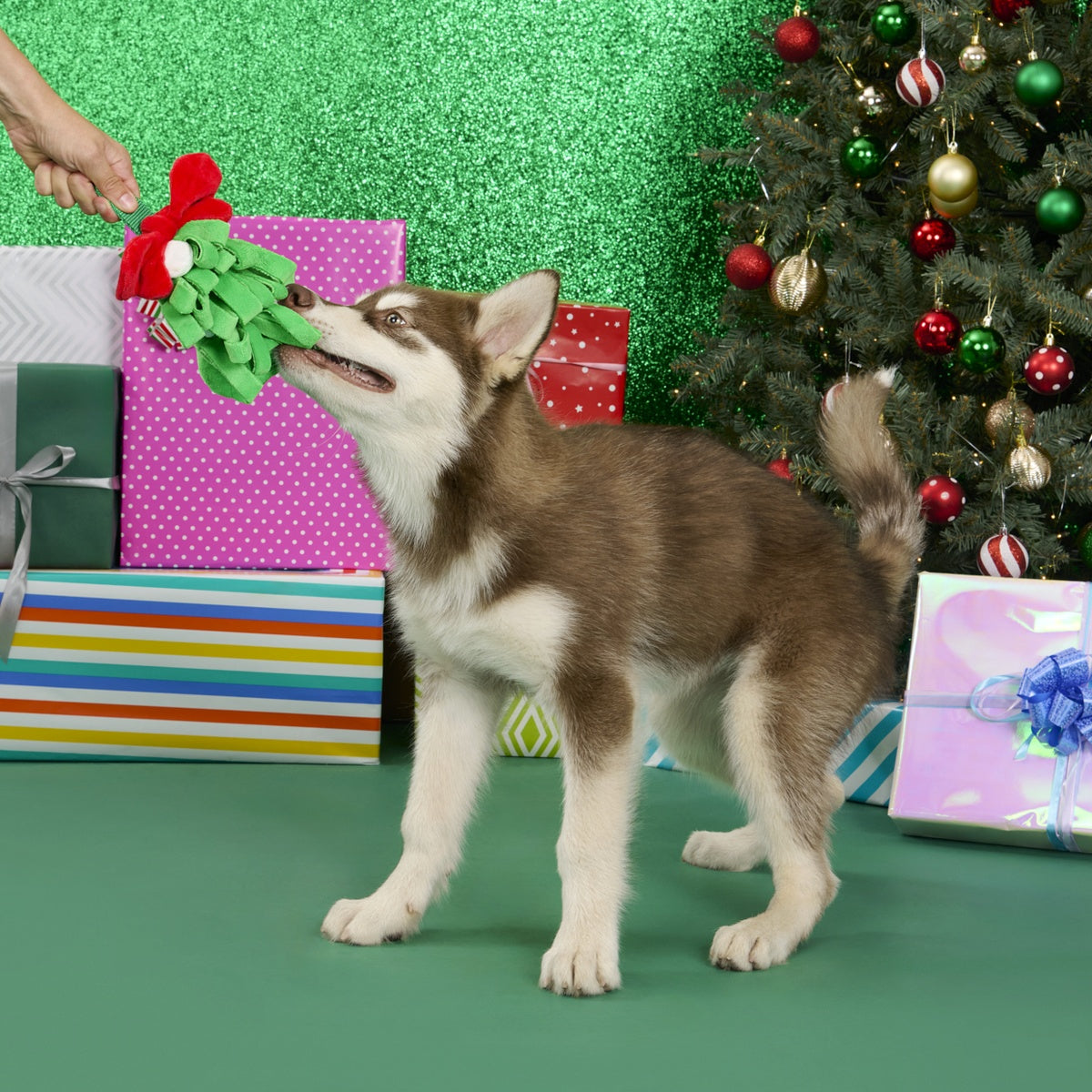 Sniffletoe Tug and Rope Plush Dog Toy