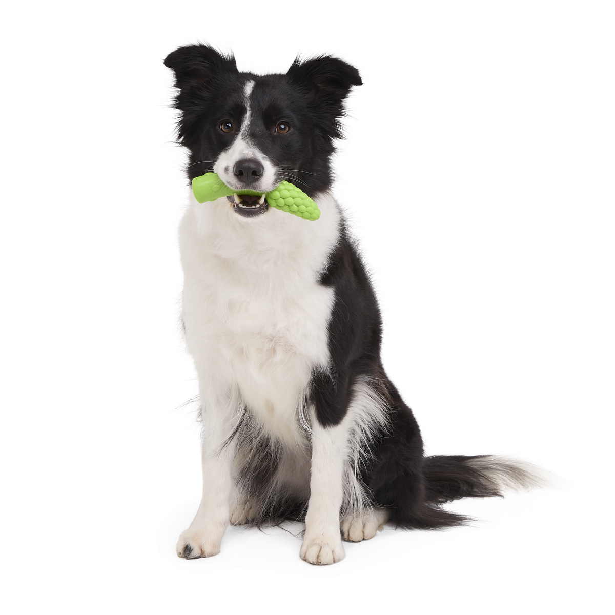 Aspupagus Super Chewer Durable Gnaw Toy