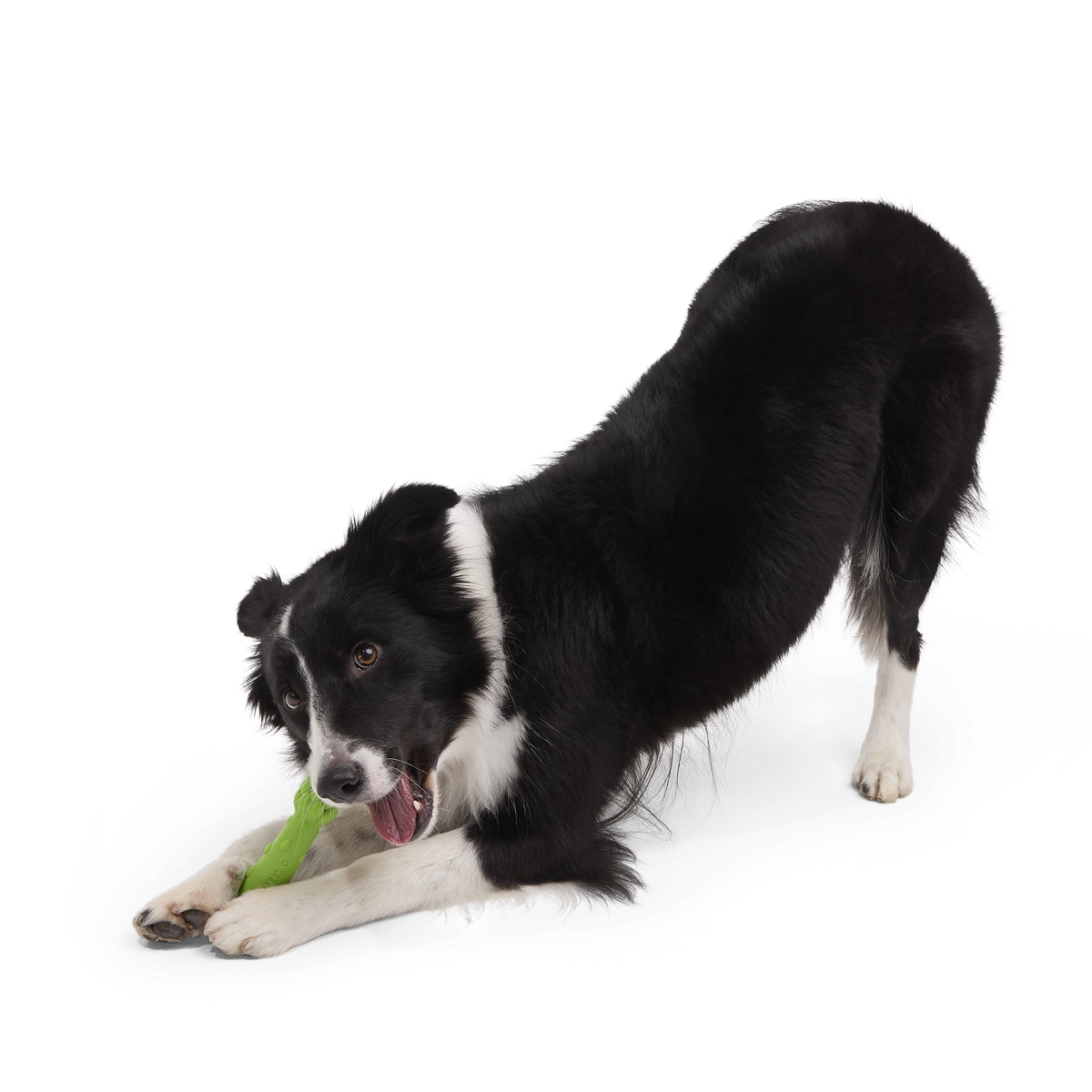 Aspupagus Super Chewer Durable Gnaw Toy