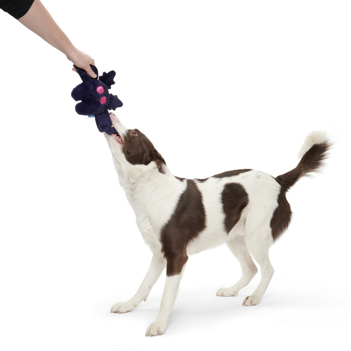 Manny Mothman Plush Tug Dog Toy