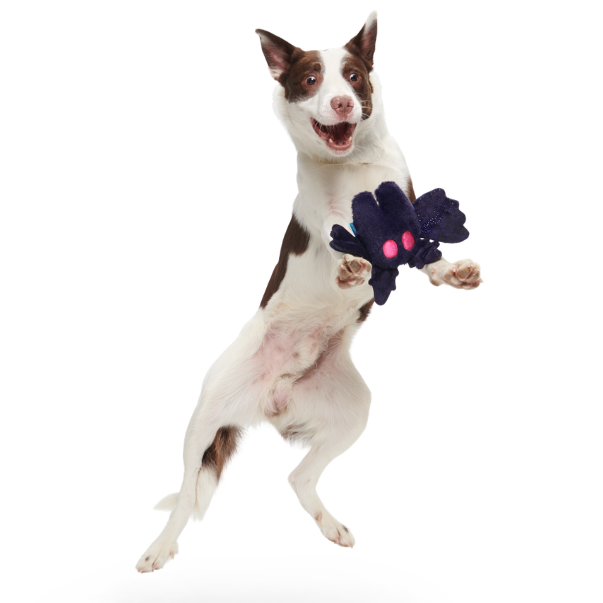 Manny Mothman Plush Tug Dog Toy