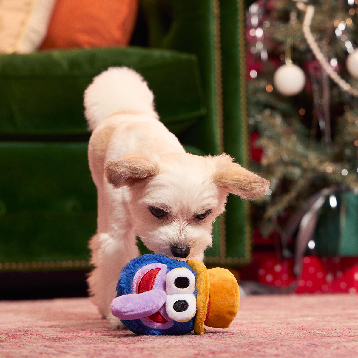 Going, Going, Gonzo Plush Fetch Dog Toy