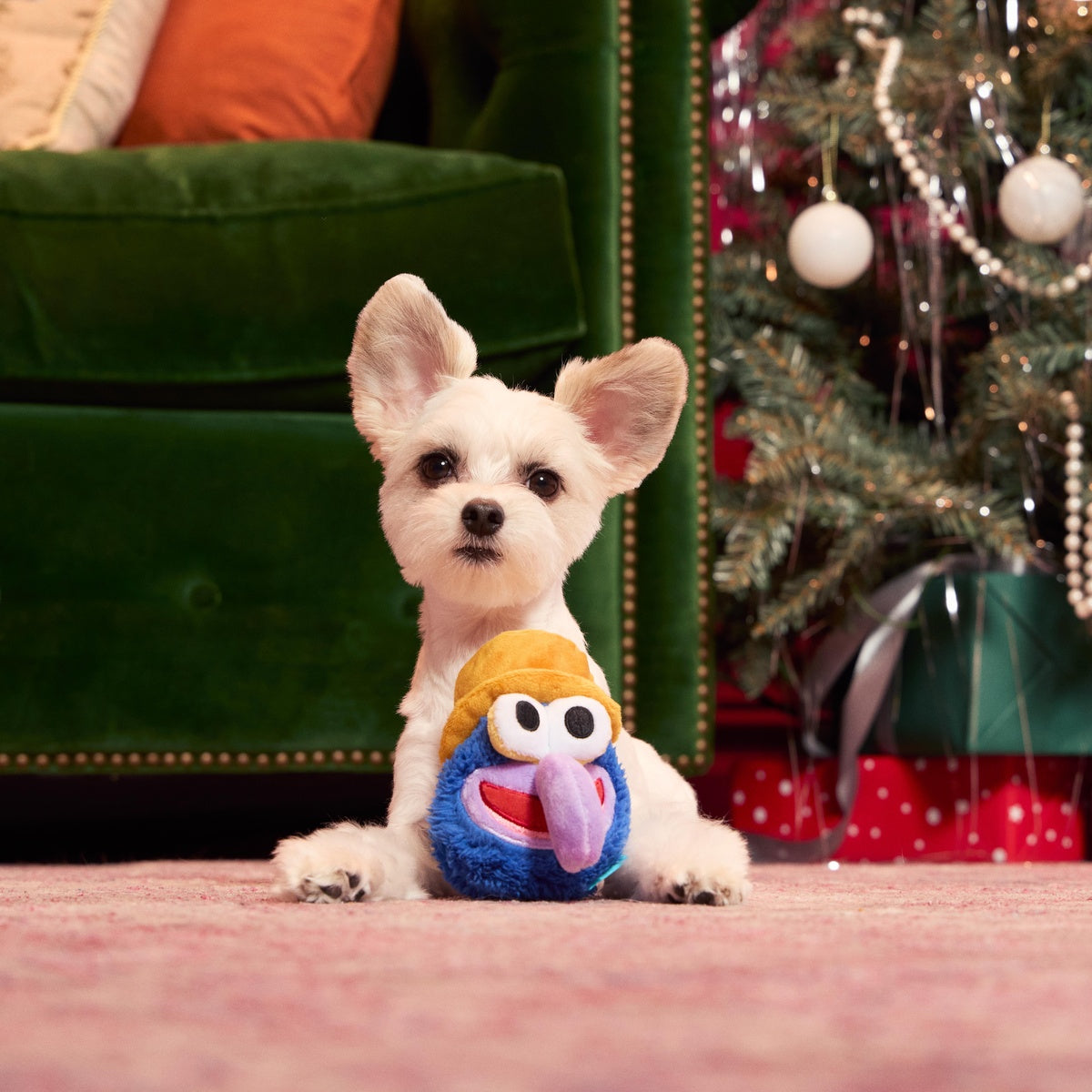 Going, Going, Gonzo Plush Dog Toy