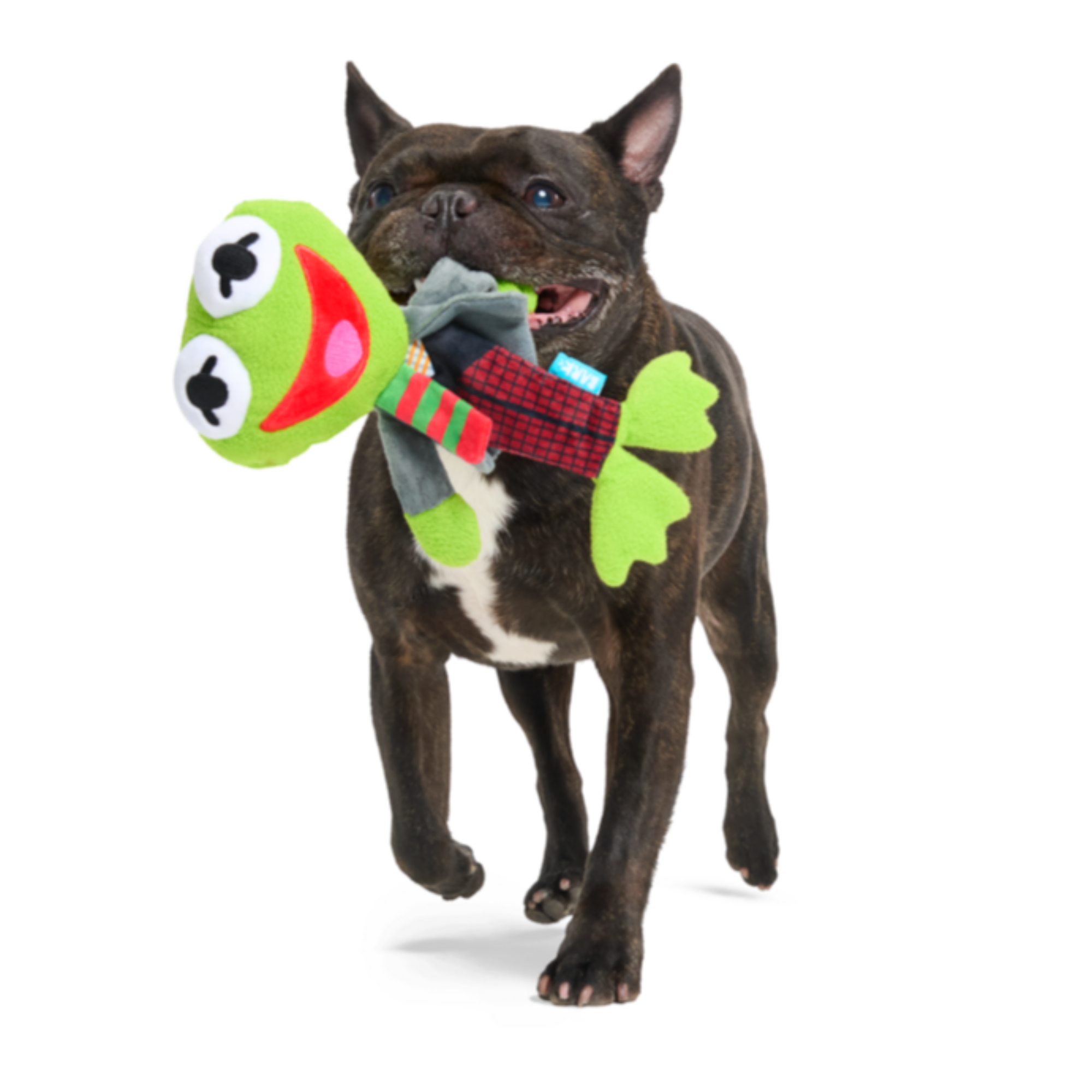 Kermit the Frog as “Bob Catch-It"