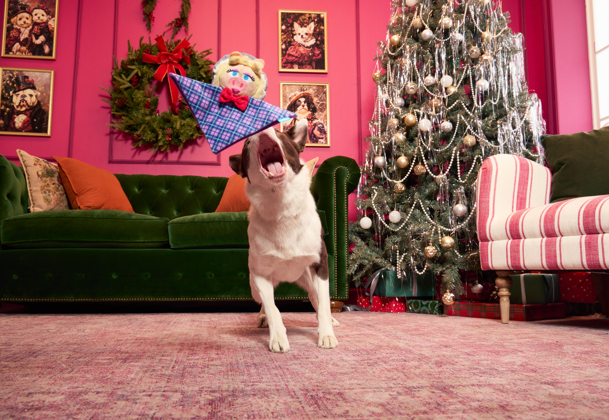 Miss Piggy as “Emily Catch-it” Plush Tug Dog Toy