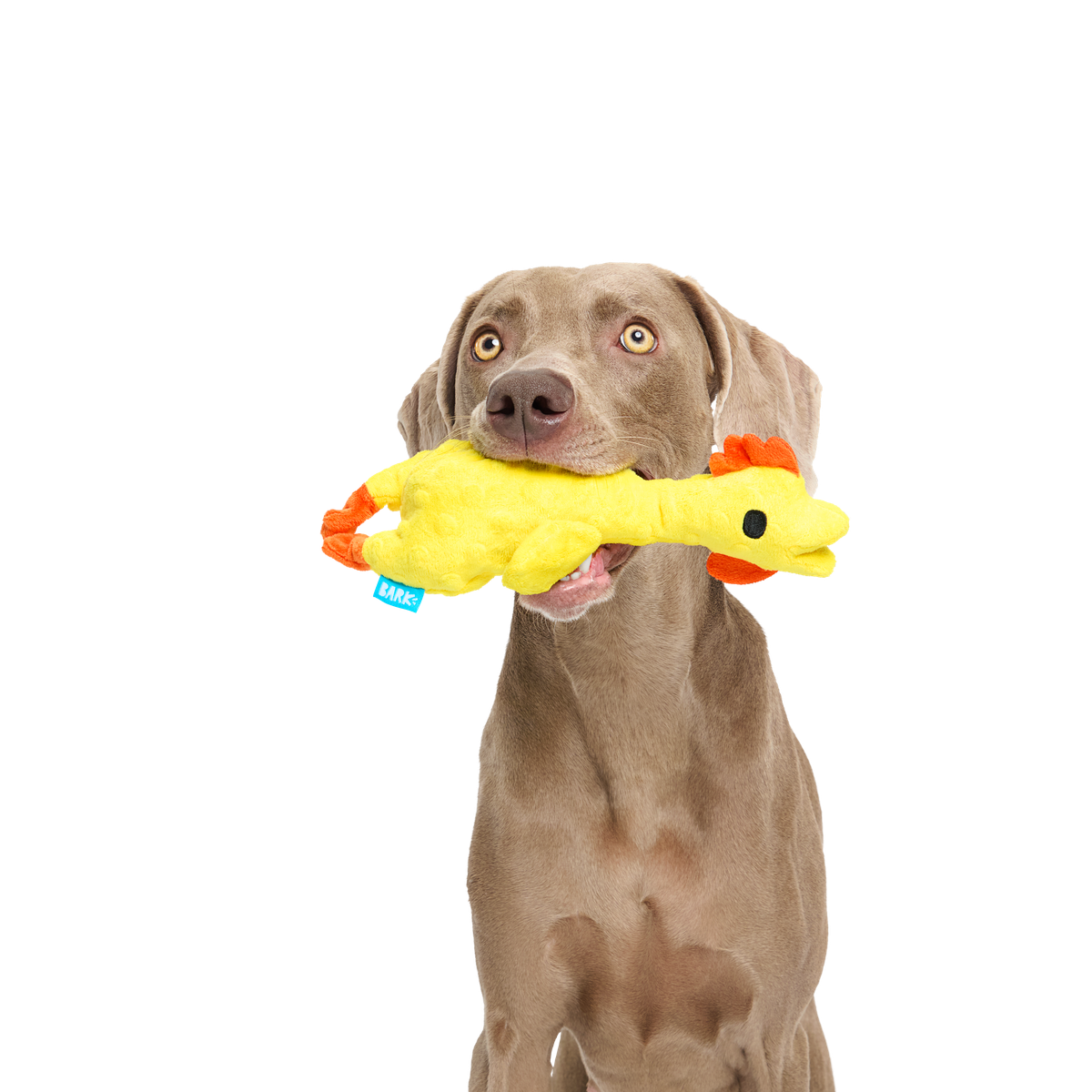 Fozziwig’s Rubber Chicken