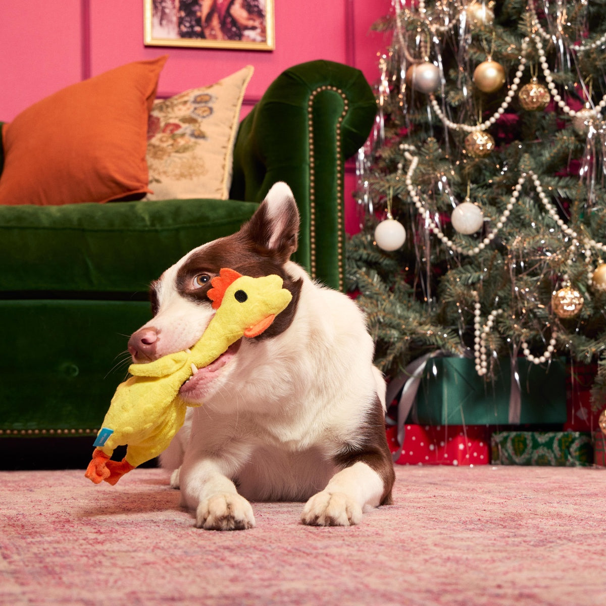 Fozziwig’s Rubber Chicken