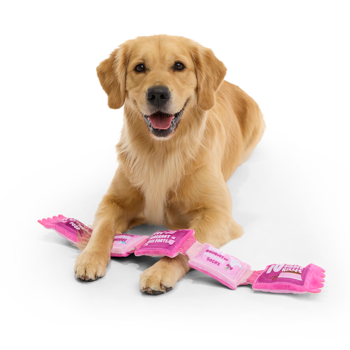 Puppy Love Coupons Plush Tug Dog Toy