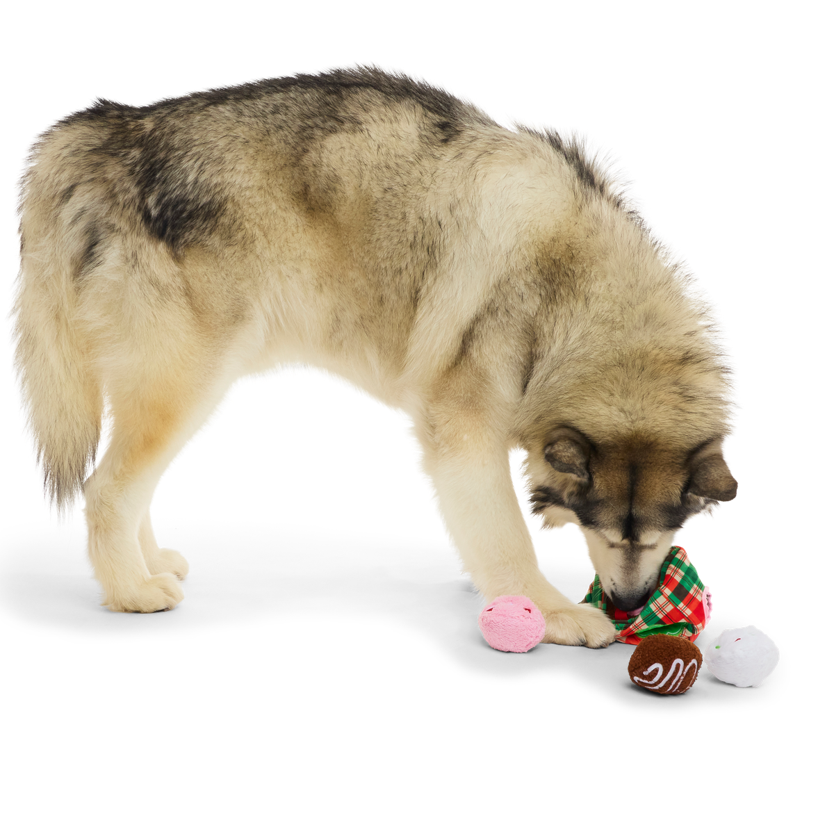 Saturday Night Live: Schweddy Balls