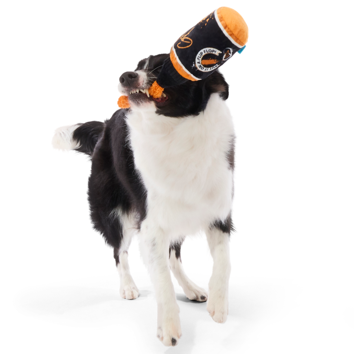 Famous Doggy Sauce Plush Tug Dog Toy