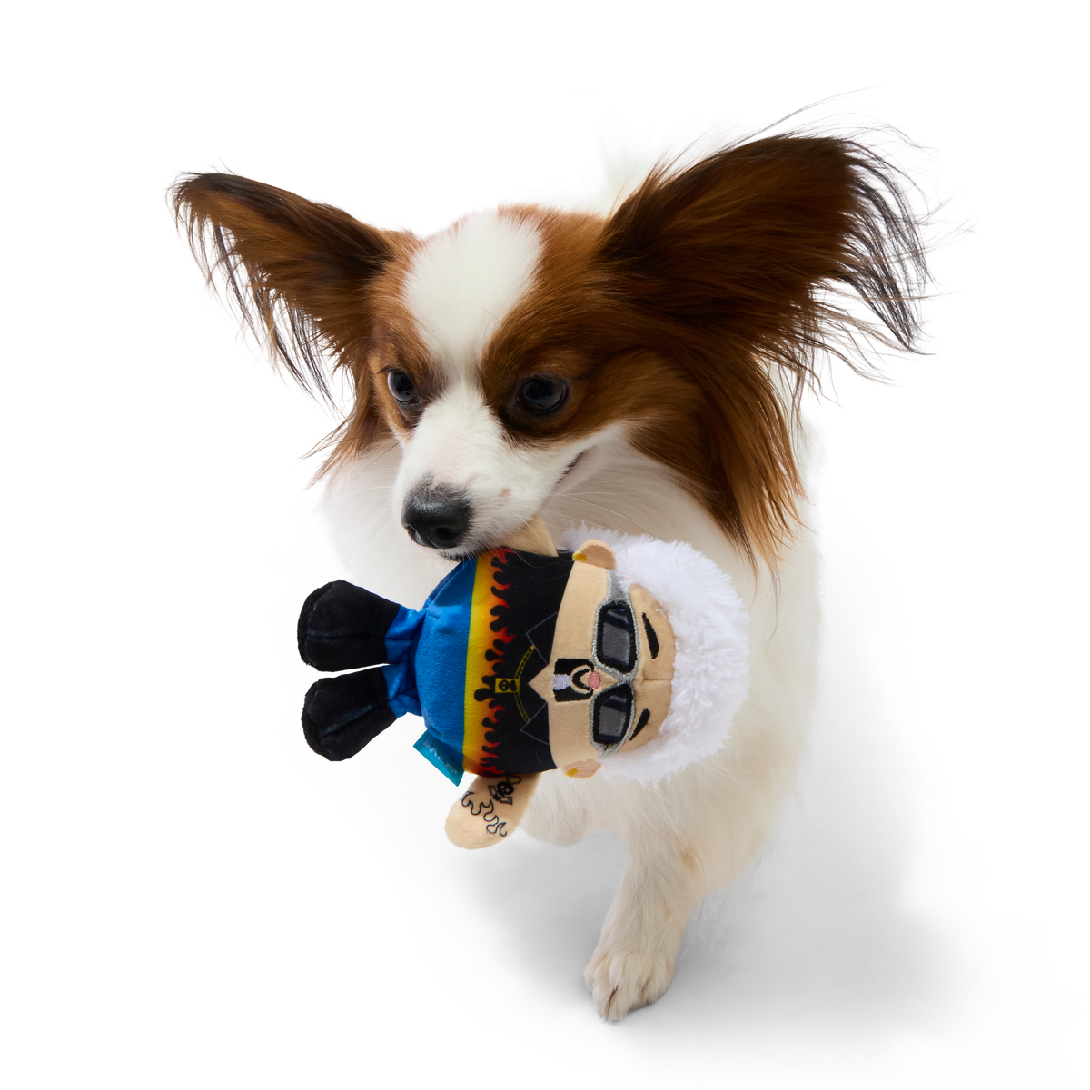 Fetch Fieri Plush Tug Dog Toy