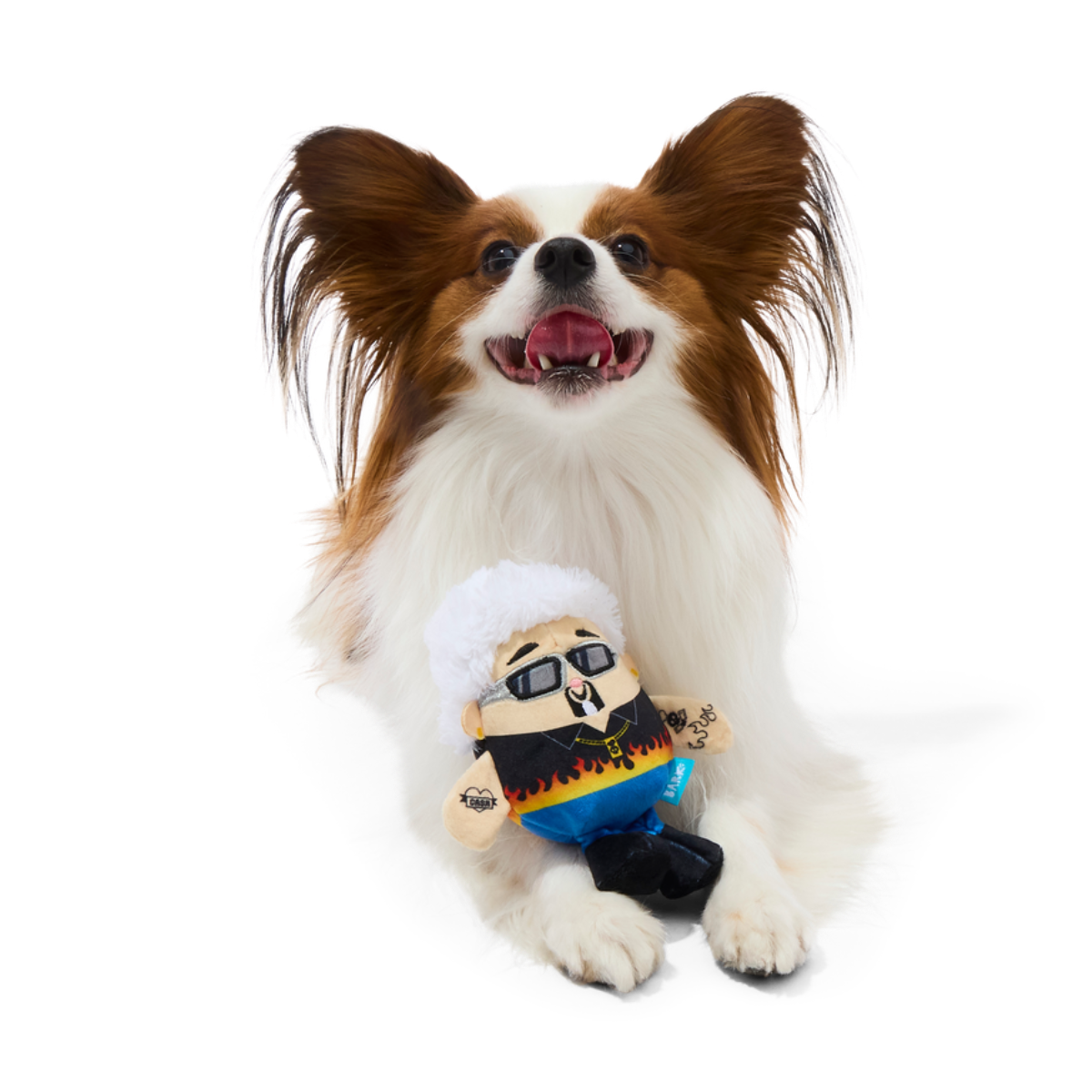 Fetch Fieri Plush Tug Dog Toy