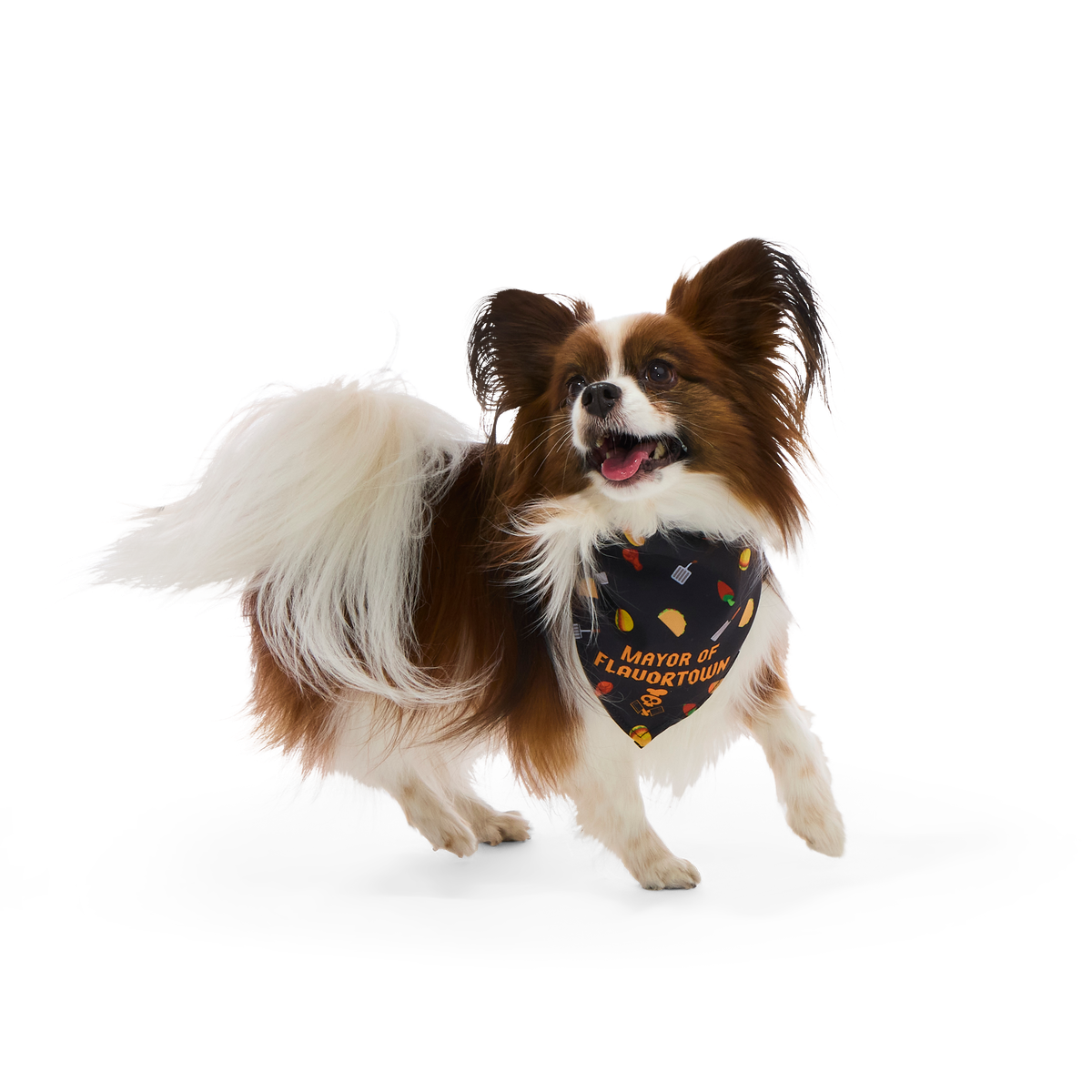 Flavortown™ Dog Bandana