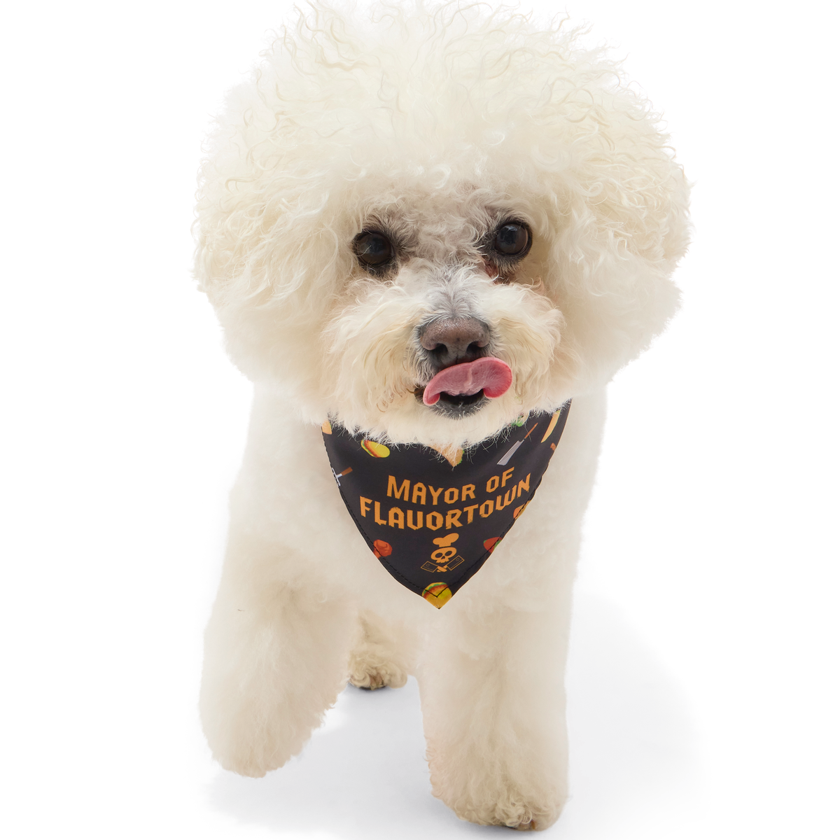 Flavortown™ Dog Bandana
