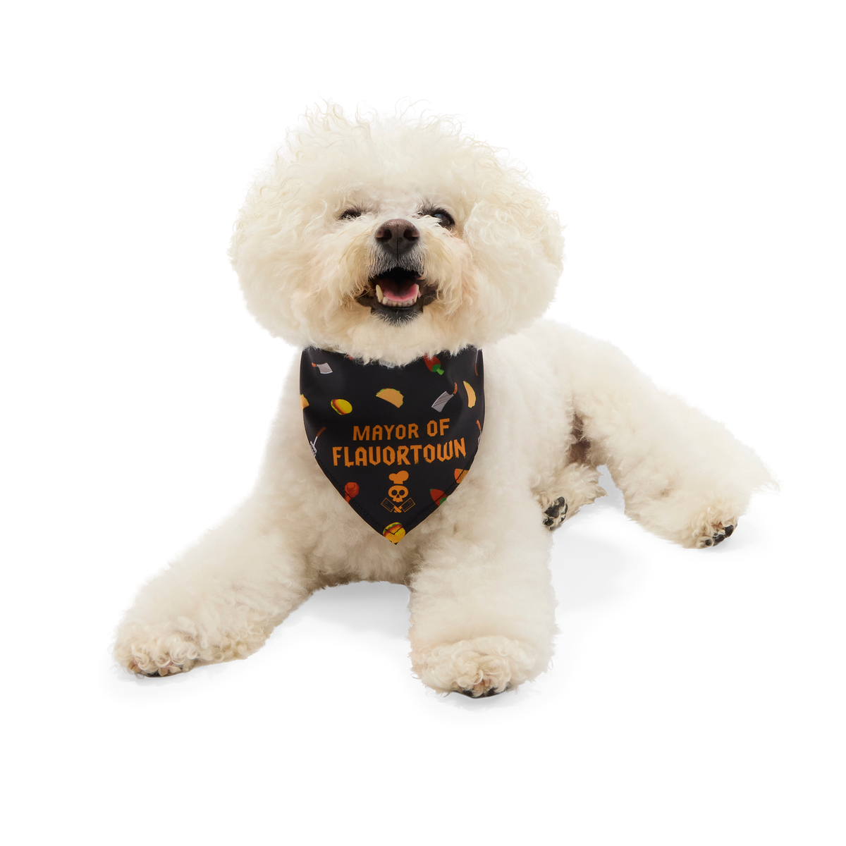 Flavortown™ Dog Bandana