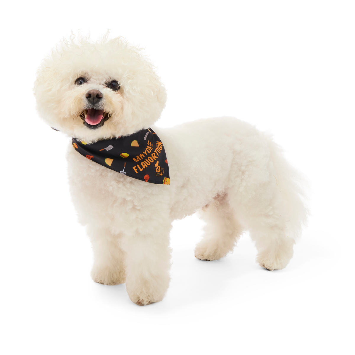 Flavortown™ Dog Bandana